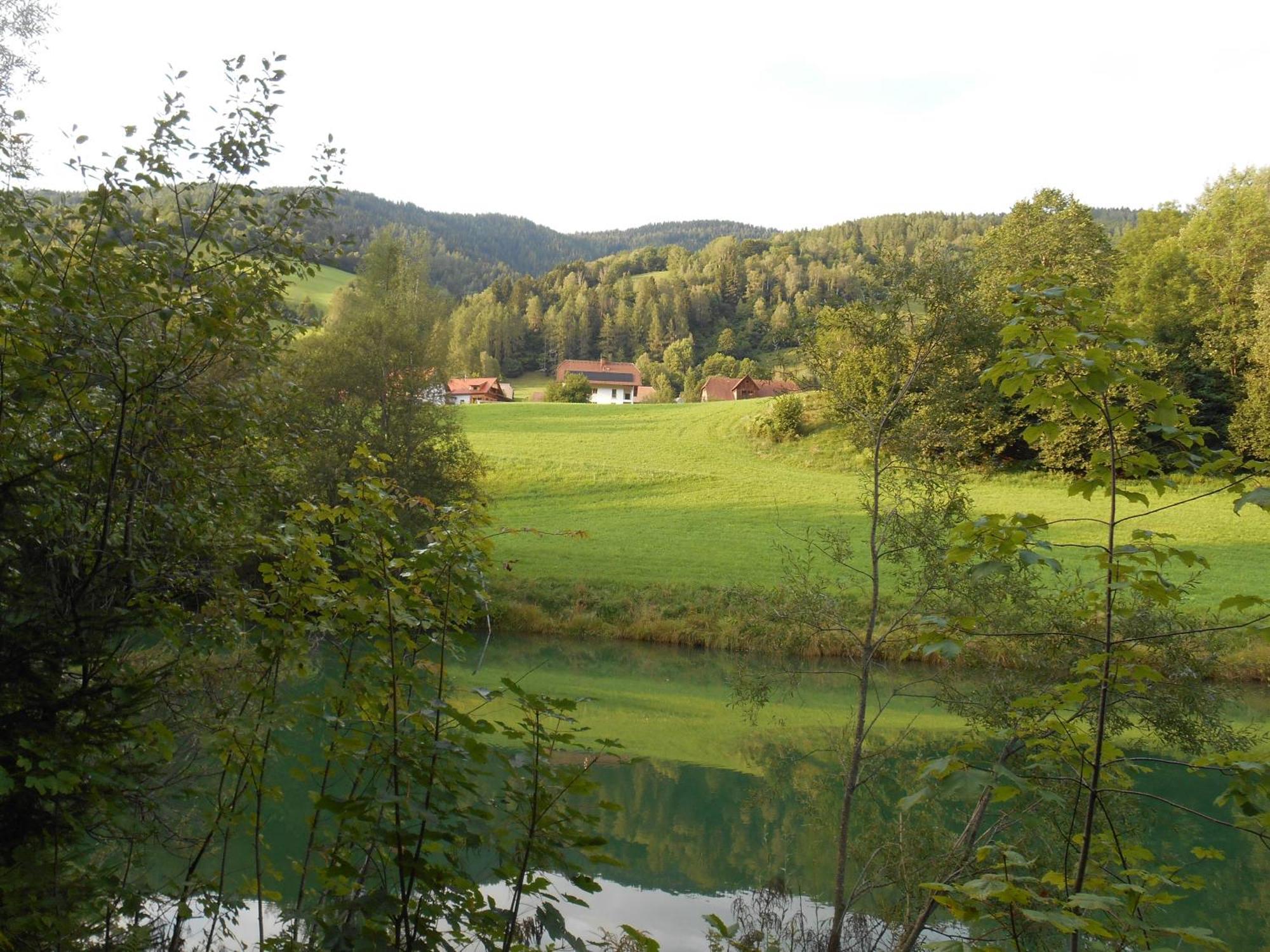 Haus Estelle Sankt Lorenzen ob Murau Eksteriør billede