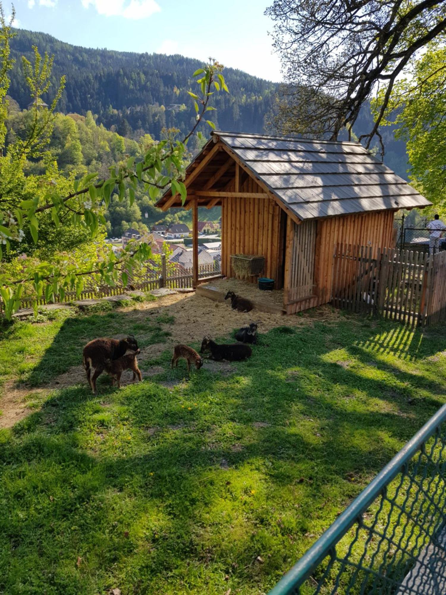 Haus Estelle Sankt Lorenzen ob Murau Eksteriør billede