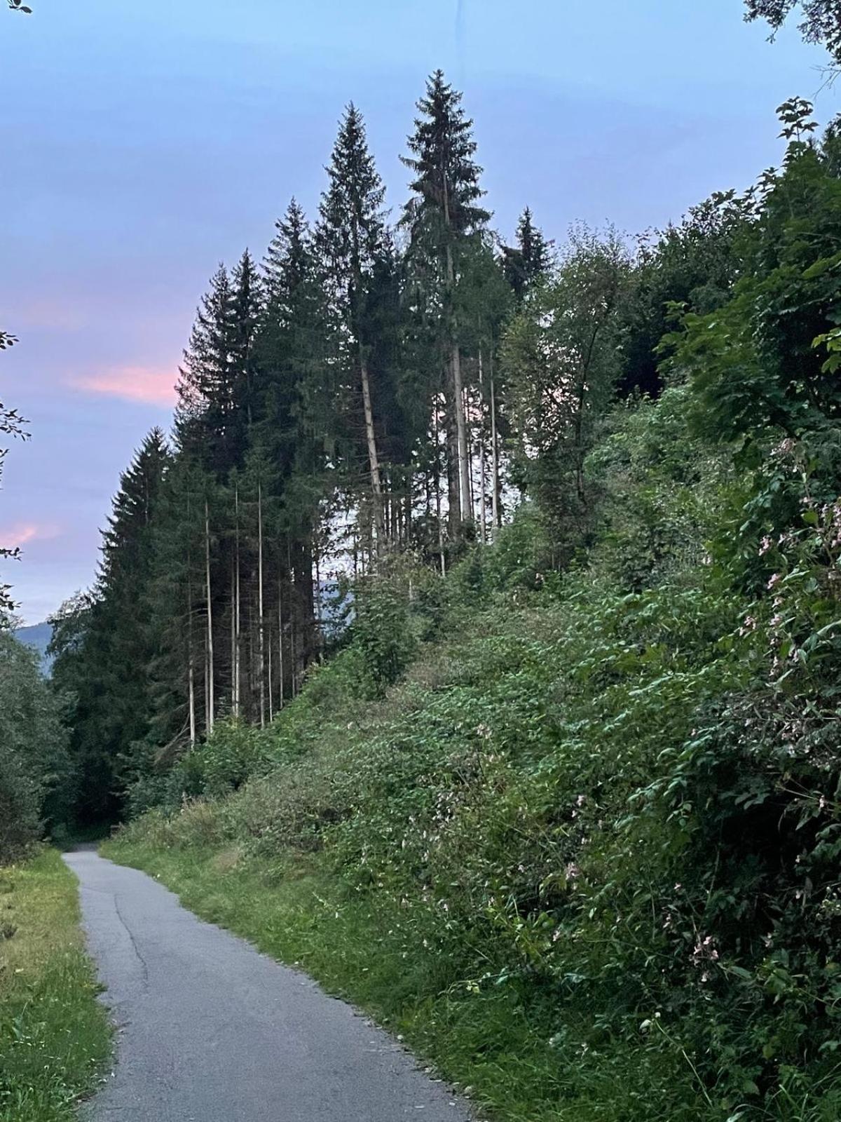 Haus Estelle Sankt Lorenzen ob Murau Eksteriør billede